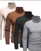 Load image into Gallery viewer, Turtleneck
